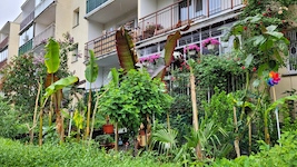 Zdjęcie ogródka z palmami i bananowcami - inne ujęcie
